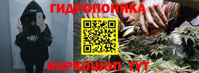 мдпв Шелехов