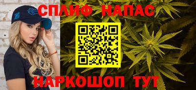 СК Шебекино