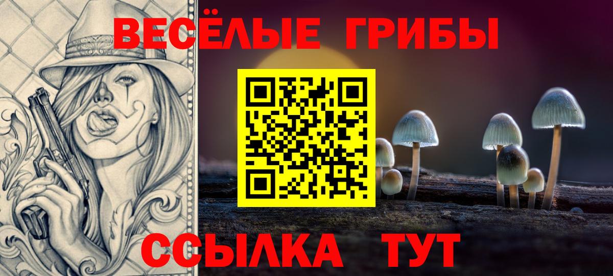 Псилоцибиновые грибы Psilocybine cubensis  Вход с VPN  Белгород 